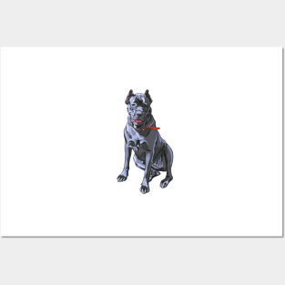 Cane Corso Posters and Art